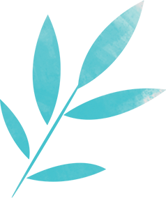 ilustracion 5 hojasfotoauro